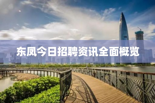 东凤今日招聘资讯全面概览