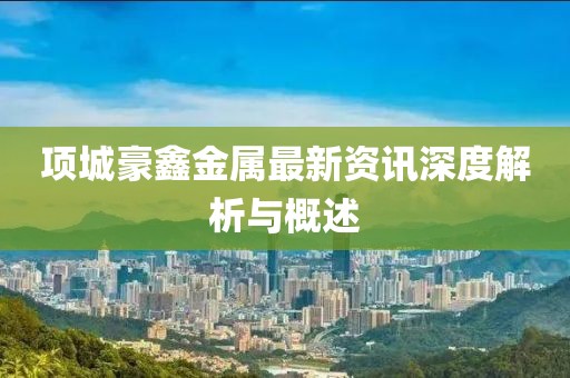 项城豪鑫金属最新资讯深度解析与概述