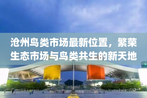 沧州鸟类市场最新位置，繁荣生态市场与鸟类共生的新天地
