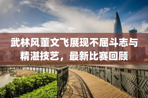 武林风董文飞展现不屈斗志与精湛技艺，最新比赛回顾