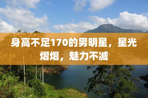 身高不足170的男明星，星光熠熠，魅力不减