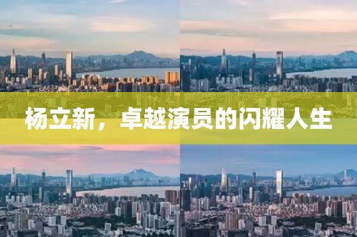 杨立新，卓越演员的闪耀人生