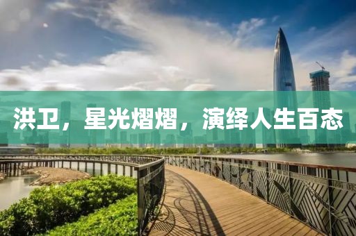 洪卫，星光熠熠，演绎人生百态