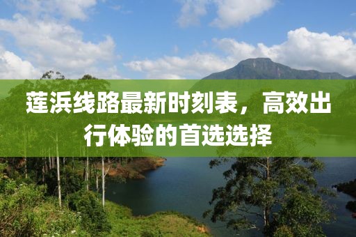 莲浜线路最新时刻表，高效出行体验的首选选择