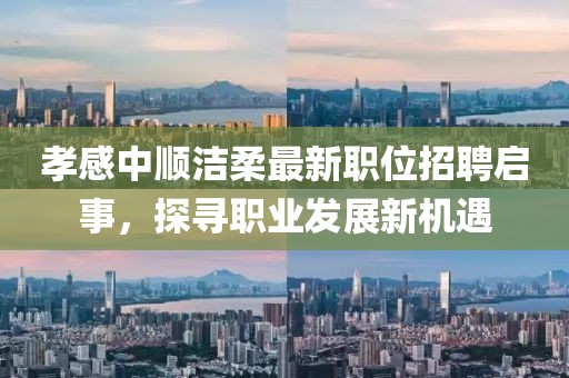 孝感中顺洁柔最新职位招聘启事，探寻职业发展新机遇