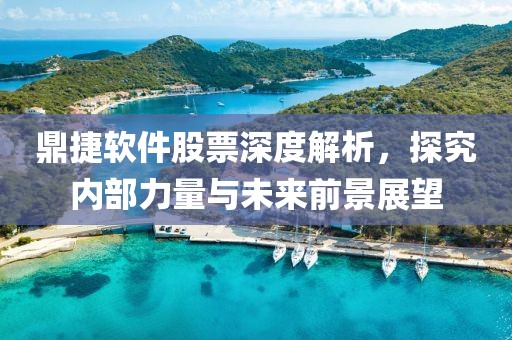 鼎捷软件股票深度解析，探究内部力量与未来前景展望