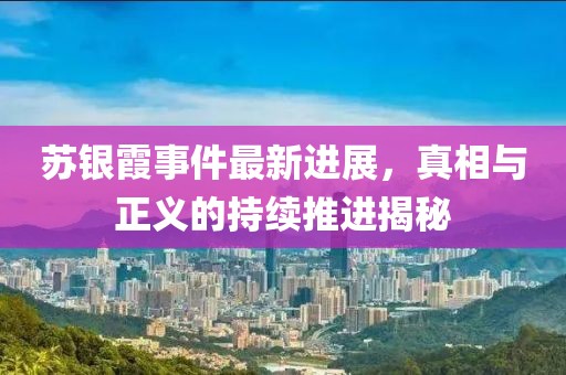 苏银霞事件最新进展，真相与正义的持续推进揭秘