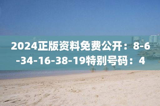2024正版资料免费公开：8-6-34-16-38-19特别号码：4