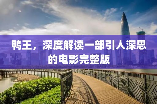 鸭王，深度解读一部引人深思的电影完整版