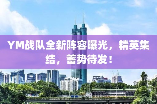 YM战队全新阵容曝光，精英集结，蓄势待发！