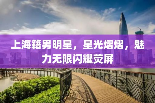 上海籍男明星，星光熠熠，魅力无限闪耀荧屏