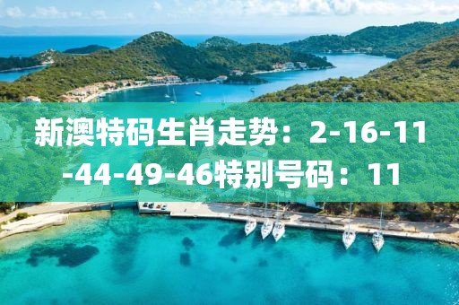 新澳特码生肖走势：2-16-11-44-49-46特别号码：11