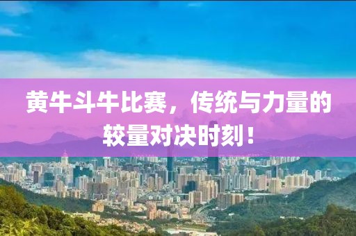 黄牛斗牛比赛，传统与力量的较量对决时刻！