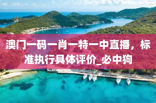 澳门一码一肖一特一中直播，标准执行具体评价_必中狗