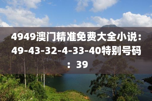 4949澳门精准免费大全小说：49-43-32-4-33-40特别号码：39