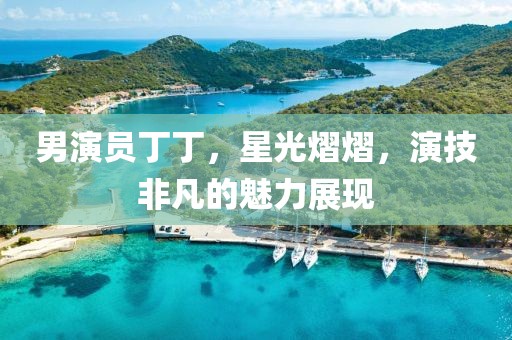 男演员丁丁，星光熠熠，演技非凡的魅力展现