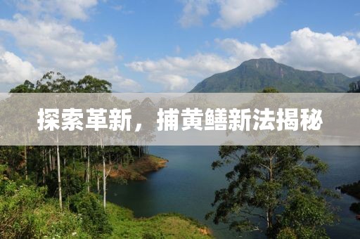 探索革新，捕黄鳝新法揭秘