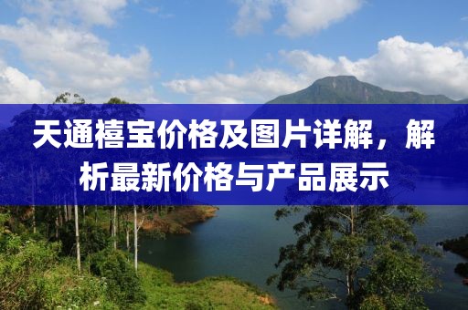 天通禧宝价格及图片详解，解析最新价格与产品展示