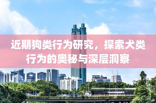 与孤独合葬 第3页