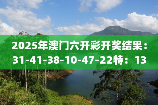 2025年澳门六开彩开奖结果：31-41-38-10-47-22特：13