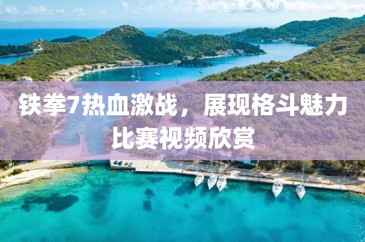 铁拳7热血激战，展现格斗魅力比赛视频欣赏