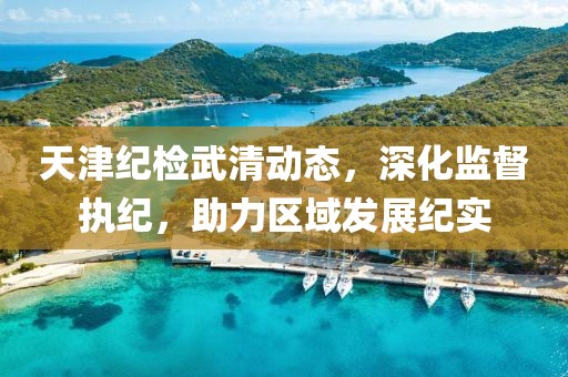 天津纪检武清动态，深化监督执纪，助力区域发展纪实