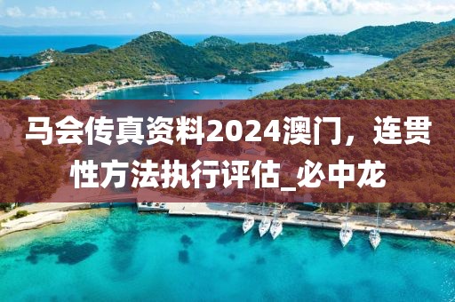 马会传真资料2024澳门，连贯性方法执行评估_必中龙
