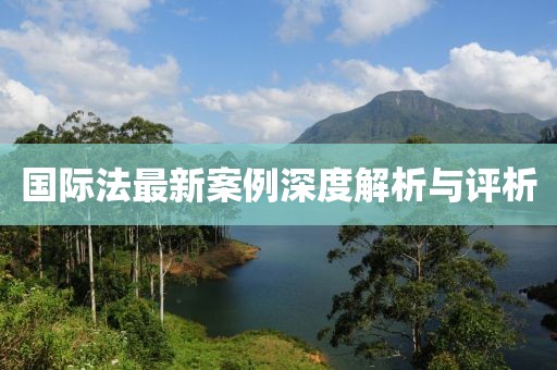 国际法最新案例深度解析与评析