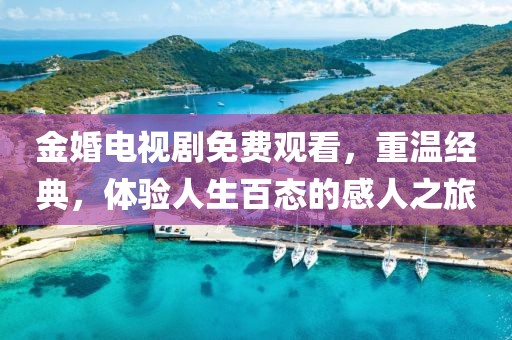 金婚电视剧免费观看，重温经典，体验人生百态的感人之旅