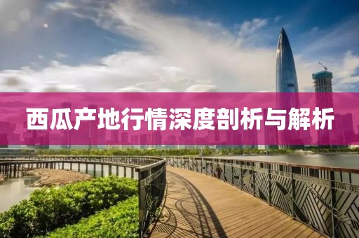 西瓜产地行情深度剖析与解析