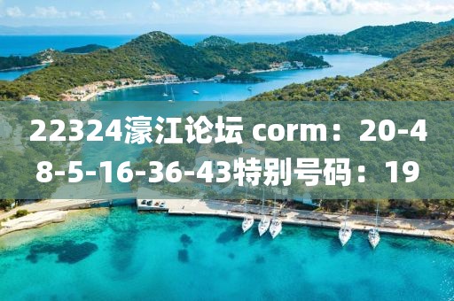 22324濠江论坛 corm：20-48-5-16-36-43特别号码：19