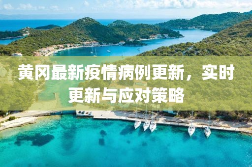 黄冈最新疫情病例更新，实时更新与应对策略