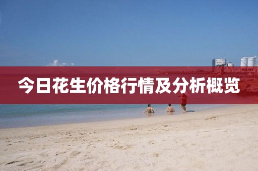 今日花生价格行情及分析概览