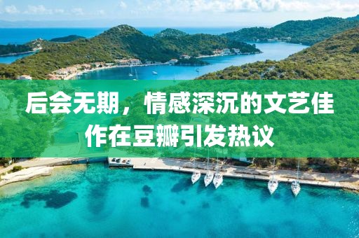 后会无期，情感深沉的文艺佳作在豆瓣引发热议