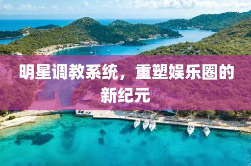明星调教系统，重塑娱乐圈的新纪元