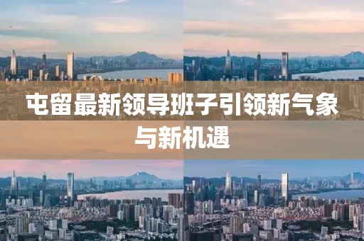 屯留最新领导班子引领新气象与新机遇
