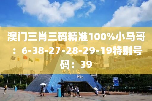 澳门三肖三码精准100%小马哥：6-38-27-28-29-19特别号码：39