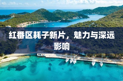 红番区耗子新片，魅力与深远影响