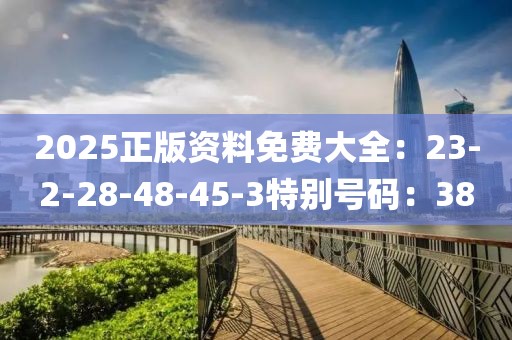 2025正版资料免费大全：23-2-28-48-45-3特别号码：38