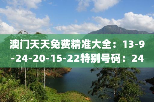 澳门天天免费精准大全：13-9-24-20-15-22特别号码：24
