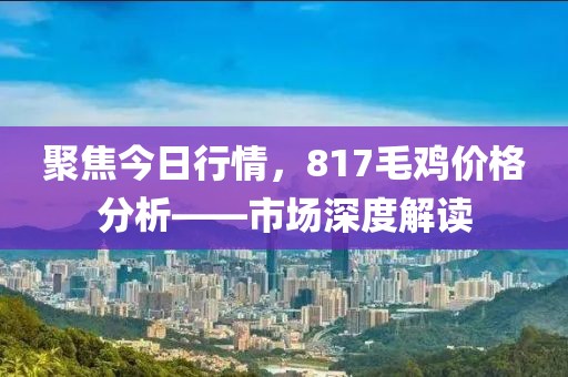 聚焦今日行情，817毛鸡价格分析——市场深度解读