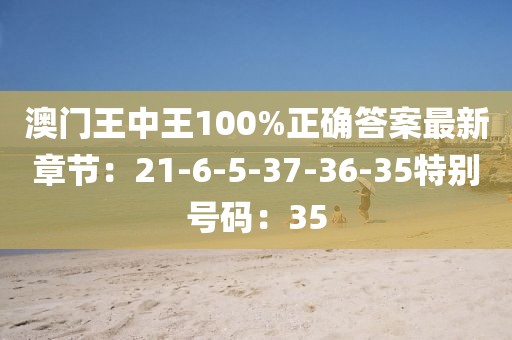 澳门王中王100%正确答案最新章节：21-6-5-37-36-35特别号码：35
