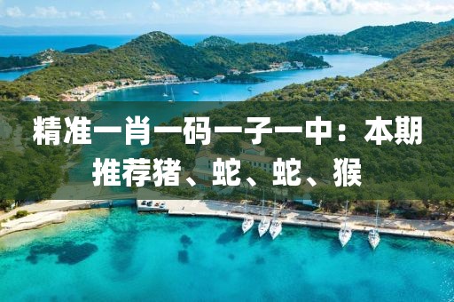精准一肖一码一子一中：本期推荐猪、蛇、蛇、猴