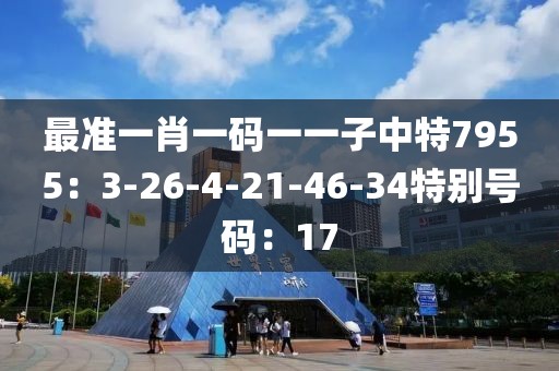 最准一肖一码一一子中特7955：3-26-4-21-46-34特别号码：17