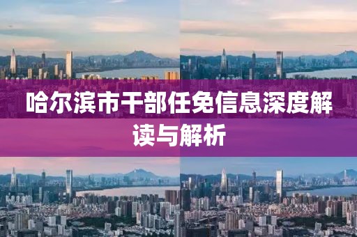 哈尔滨市干部任免信息深度解读与解析