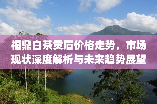 福鼎白茶贡眉价格走势，市场现状深度解析与未来趋势展望