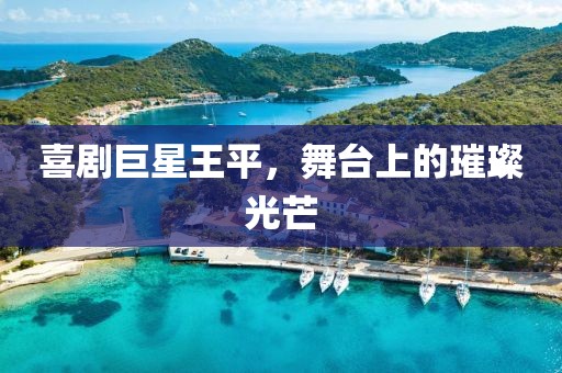 喜剧巨星王平，舞台上的璀璨光芒