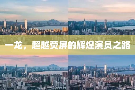 一龙，超越荧屏的辉煌演员之路