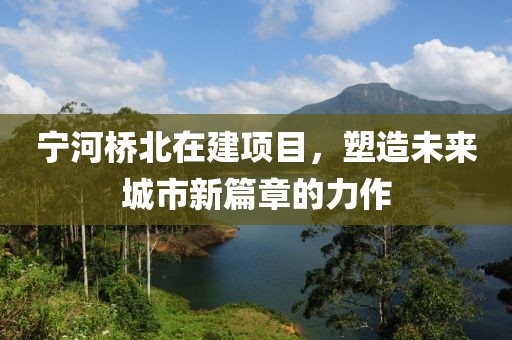 星愿 第2页