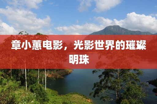 章小蕙电影，光影世界的璀璨明珠